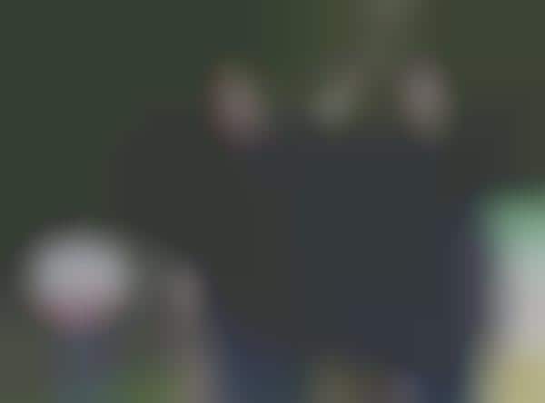 アメガ　ワンド　amega wand アメガワンド Amega Wand