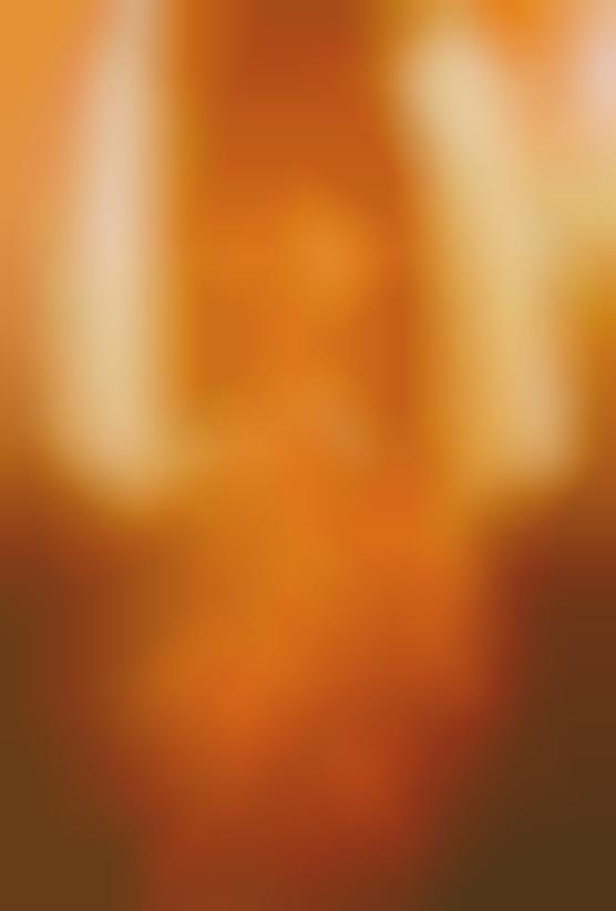 Midas Touch Portraits