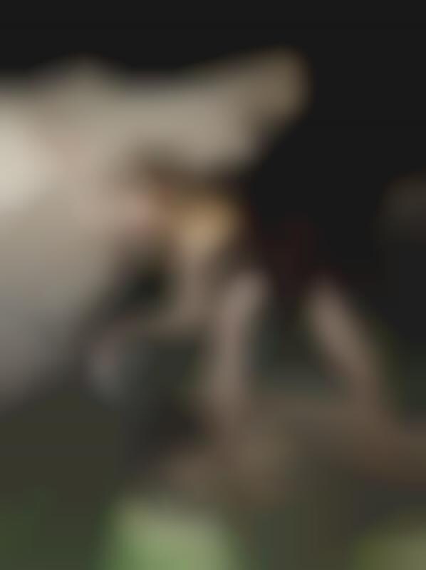 Promiscuous Haute Photography