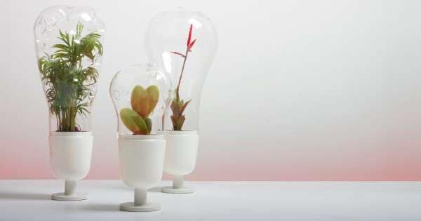 Light Bulb Planters