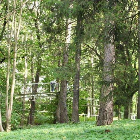 Winding Woods Walkways