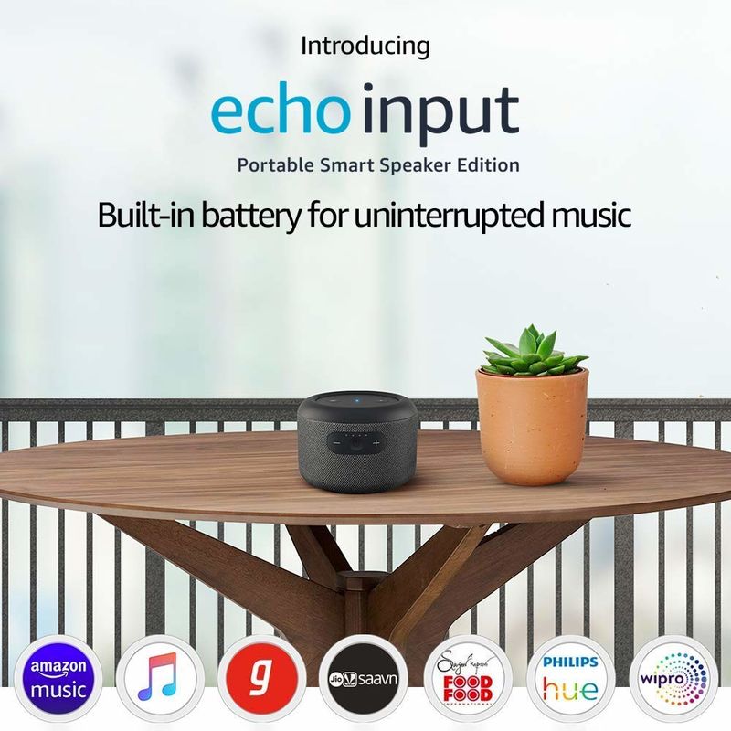 echo input smart speaker