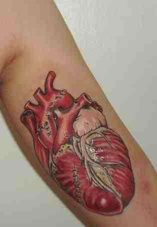Anatomical Tattoo's