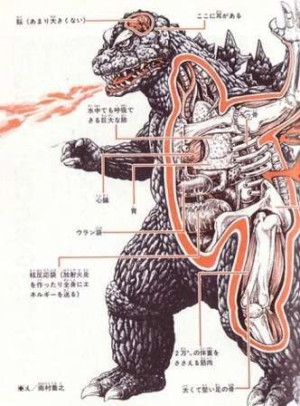 Monstrous Anatomy Guides