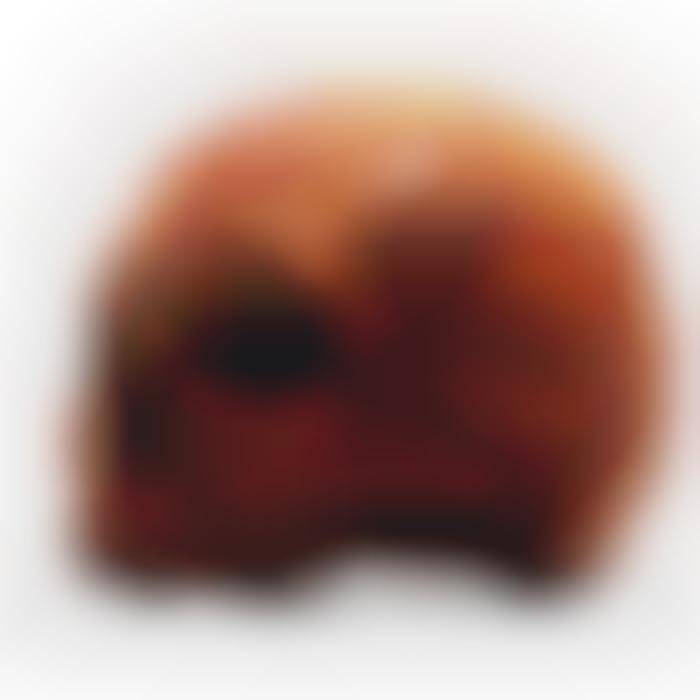 Creepy Cranium Chocolates Anatomical Skull