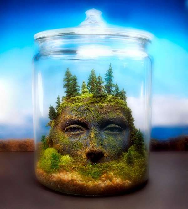 Fantastical Terrarium Artwork