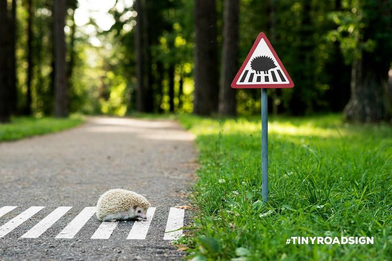 Adorable Animal Road Signs