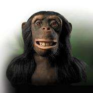 Animatronic Apes