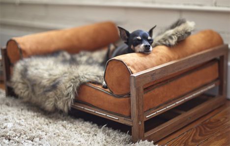 Extravagant Pet Furniture