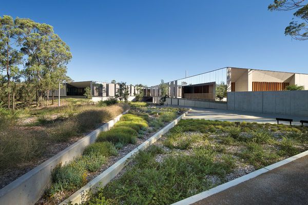 Ecosystem-Reflected Buildings