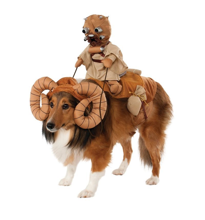 Intergalactic Canine Costumes