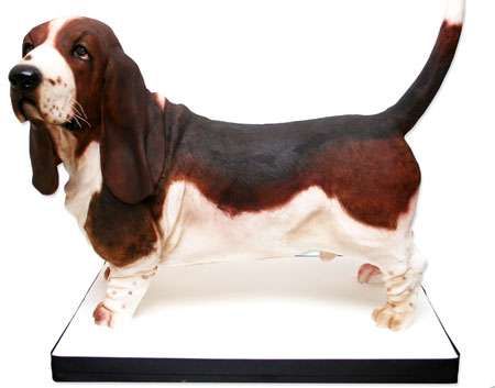 Life-Sized Canine Cakes