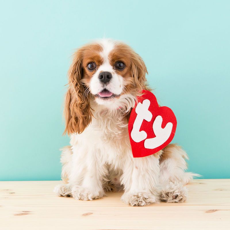 Retro Canine Plushy Costumes