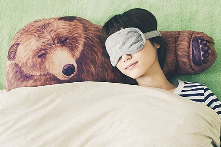 Huggable Bear Pillows