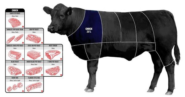 Beef Cut Explaining Charts