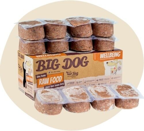 big dog puppy food