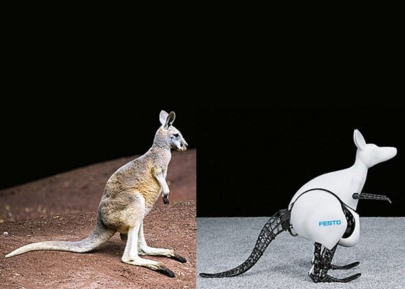 Bionic Kangaroos