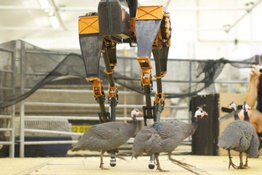 Kickable Bipedal Robots