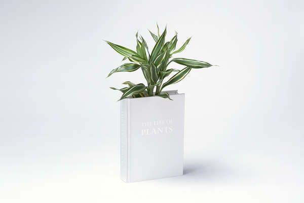 Literary Plant Holders