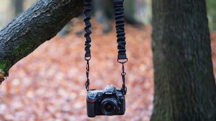 Bungee Cord Camera Straps