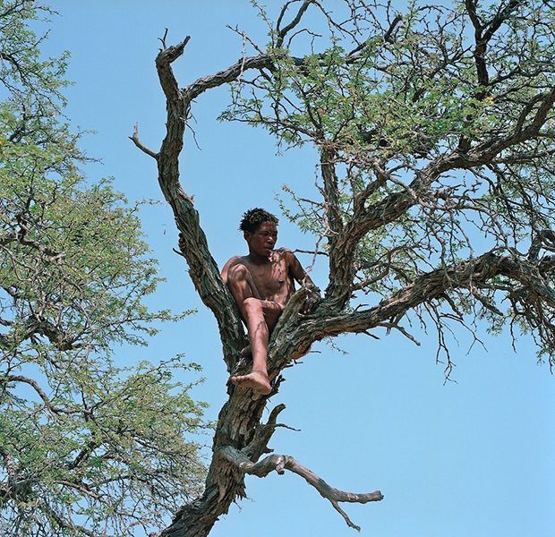African Bushmen Photography