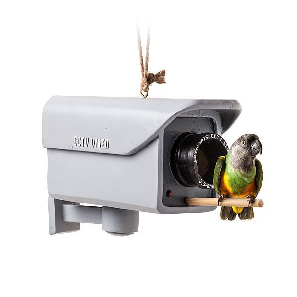 Camera Bird Feeders