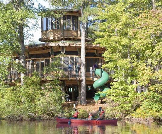 Treetop Playgrounds