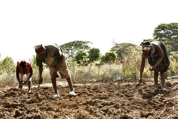 Green Charcoal Technologies