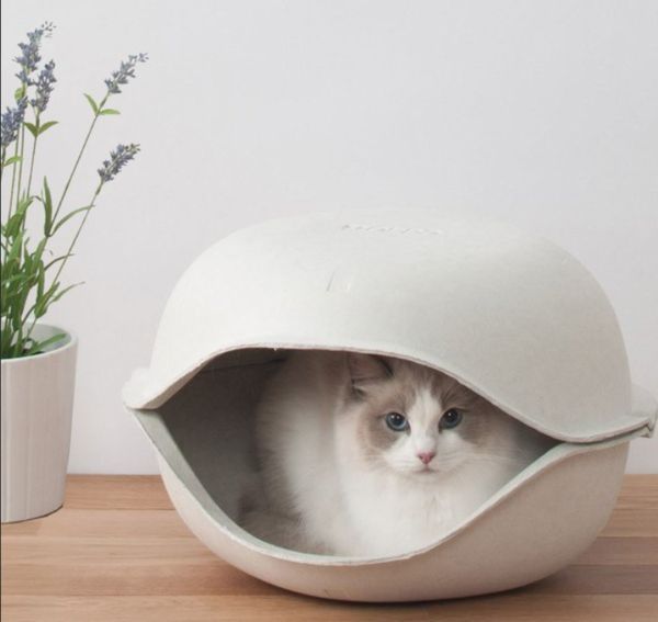 Stylish Cat Hideouts 