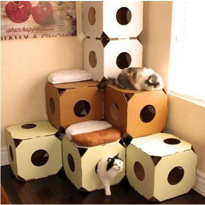 Eco-Friendly Feline Homes