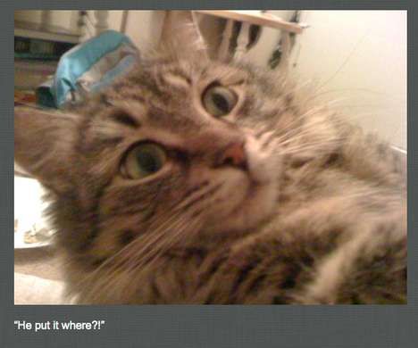 Perverted Pet Photoblogs