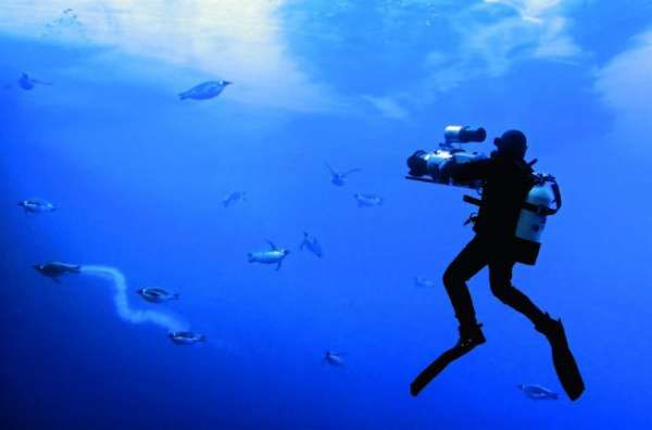 Unbelievable Underwater Captures