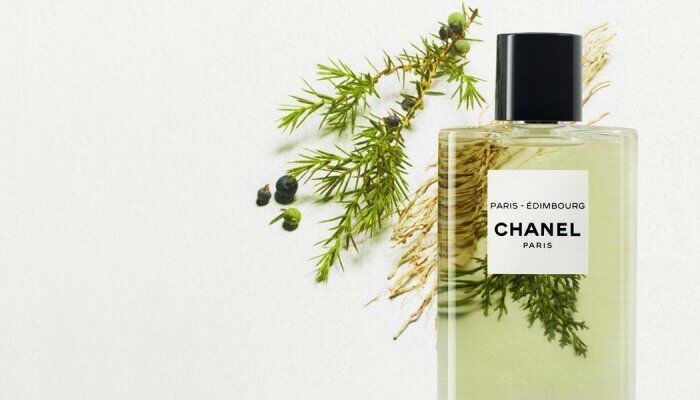 Top Với Hơn 67 Về Chanel Perfume Packaging - Cdgdbentre.Edu.Vn