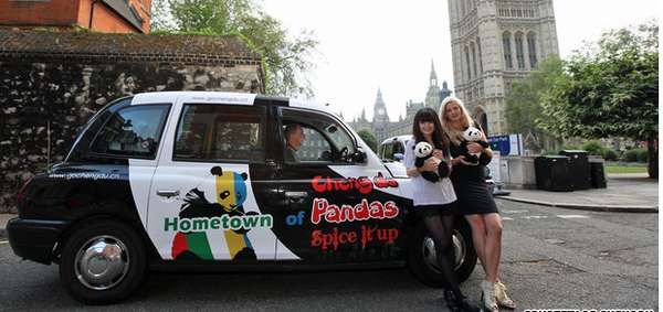 Bear-Patterned Olympic Taxis