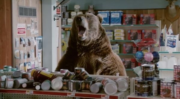 Choosy Bear Yogurt Ads