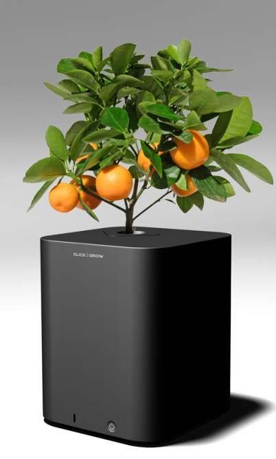 Programmable Planters