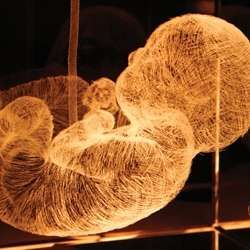 Newborn Baby 3D Artwork