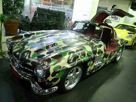 Controversial Camouflage Cars