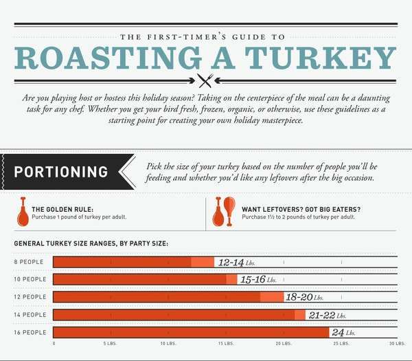 Turkey Roasting Infographics