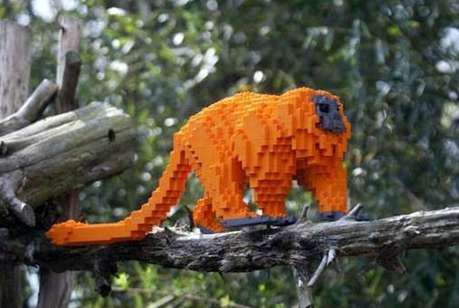 Endangered LEGO Exhibits