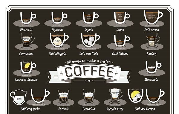 Coffee Brewing Infographics