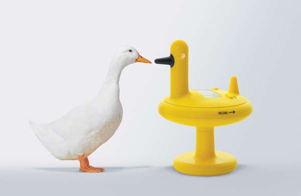 Avian Kitchen Accessories