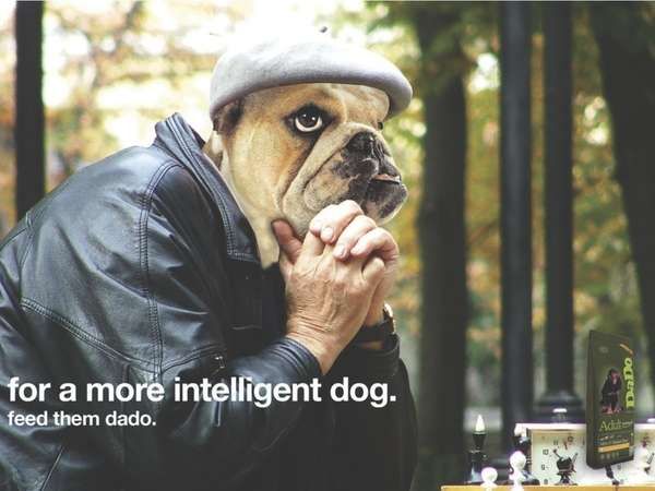 Personified Pooch Campaigns