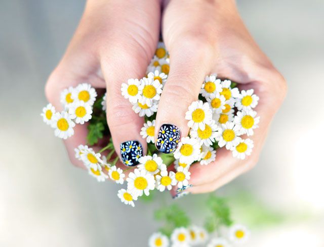 DIY Daisy Manicures