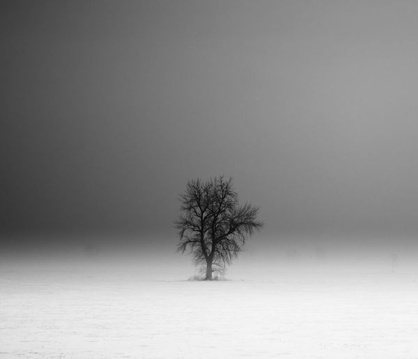 Evocative Grayscale Landscapes : Derek Toye