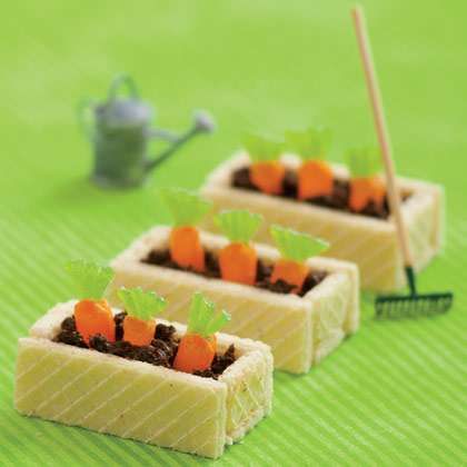 Enticing Carrot Patch Treats