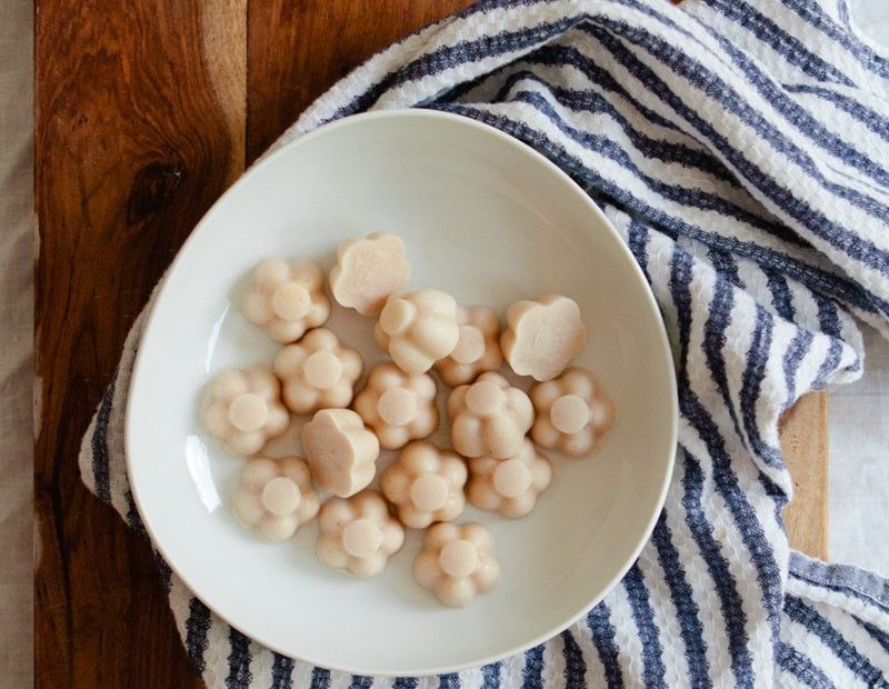 DIY Frozen Dog Treats