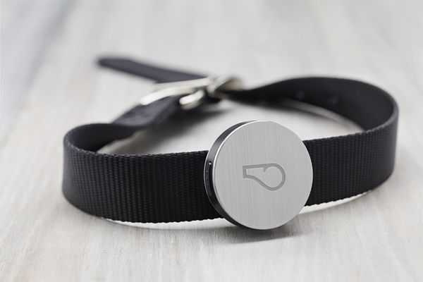 Activity-Tracking Pet Devices