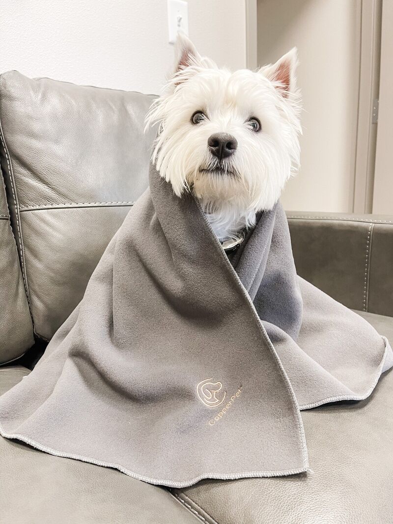 Copper-Infused Dog Blankets : dog blanket