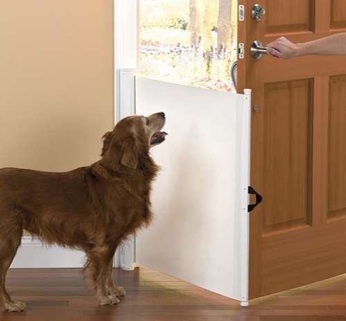 Pet Door Blockers